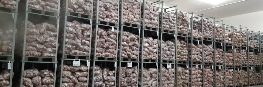 Almacena con nosotros